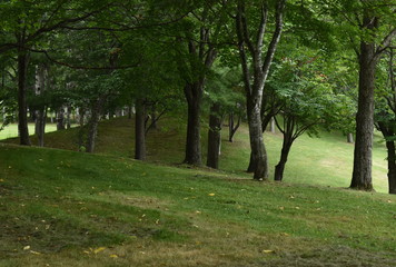 The peaceful quiet park in Obihiro Japan