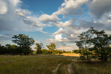 steppe landscape with the setting sun