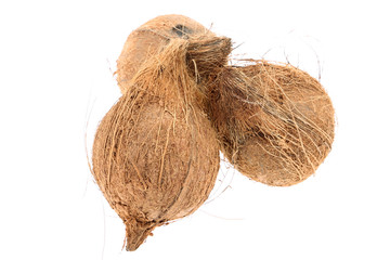 Coconut. Coconut isolated on white background. Full depth of field.