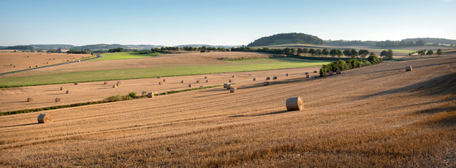 landscape with cornfields and meadows in regional parc de caps et marais d'opale in the north of...