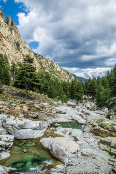 Vall&eacute;e de la Restonica - Corse
