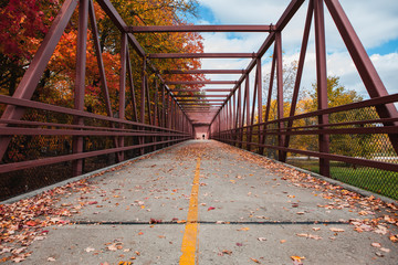 Fall Colors of the Trees on a Bridge in an Autumn Forest