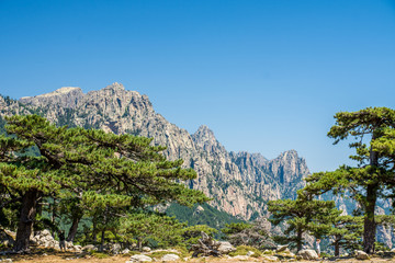 Aiguilles de Bavella - Corse