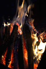 open fire on a dark background. firewood burns with a red-yellow flame against the background of night darkness