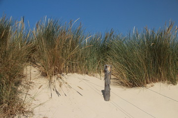 Traumhafte D&uuml;nen