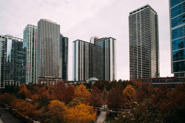 Fall Colors of the Trees in Millennium Park and Historic Architecture of Downtown Chicago City