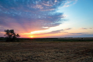 Fototapeta premium morning steppe landscape. sunrise over the field