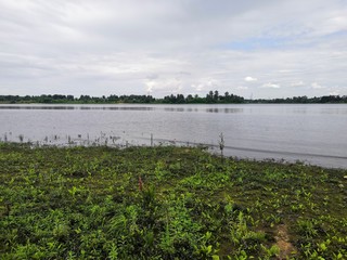Fototapeta na wymiar lake in the field