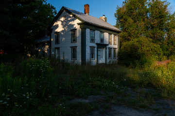 An abandoned, historic house with clapboard siding and tin roof features a fiberglass horse on the overgrown front lawn in upstate New York.