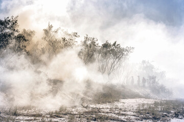 Obraz na płótnie Canvas Australia bushfires in summer fire season