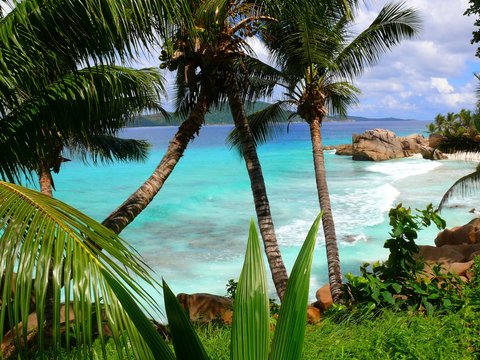 Seychelles, La Digue island, anse Gaulettes beach