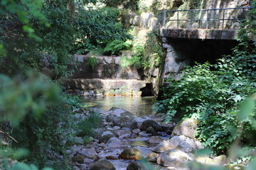 For&ecirc;t de fleuve