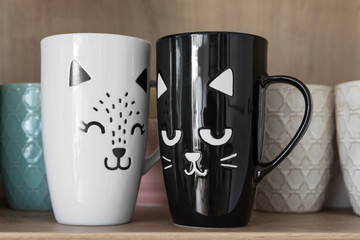 A white and a black cat cup together in the cupboard. Relationship goal. Close-up.