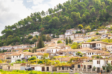 Fototapeta na wymiar Traditional houses n Berat old town with trees and locals around. historical places in Albania.