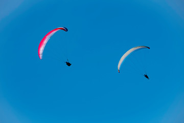パラグライダーが青い空を背景に飛ぶ姿が気持ちよい夏の風景を表す王子ヶ岳の風景