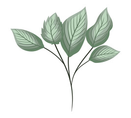 green leaves painting design of Natural floral nature and plant theme Vector illustration