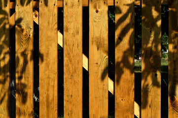 Fototapeta premium Ocher wooden fence. With leaf shadows