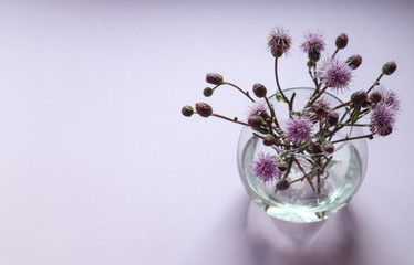 A bouquet of purple wildflowers in a round glass vase on a lilac background, side view, place for the inscription