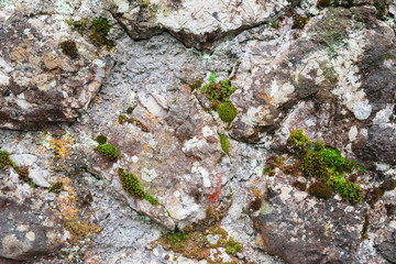 Abstract background with old stone overgrown with moss