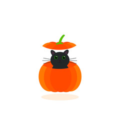 This is a vector illustration. Cat in pumpkin isolated on white background.