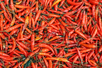 Fototapeta premium Rotten red peppers are placed on the basket.