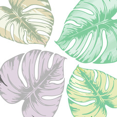 Stylish monstera leaves tropical seamless watercolor pattern. Tropical leaves summer painted seamless pattern. Jungle elements backdrop.