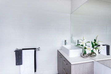 A luxury modern bathroom interior design view