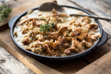 Fried chanterelle mushrooms with onions or stew on wooden background. Selective focus.
