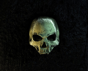3D rendered Skull