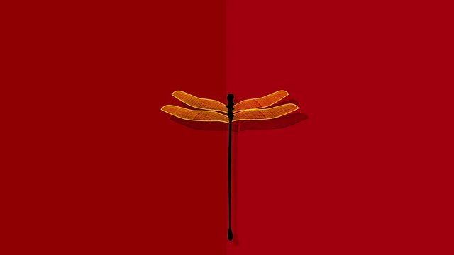 Hand drawn flying dragonfly animation. Insect, summer concept. Copy space. Bright red background.