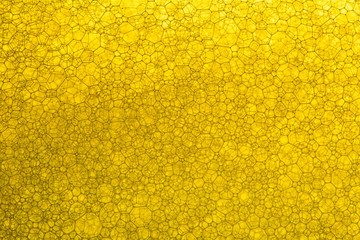 Yellow macro science texture