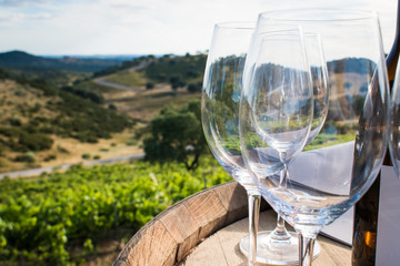 closeup wine glasses on a barrel in a vineyard