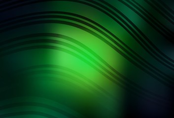 Dark Green vector background with curved lines.