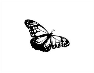 Butterfly silhouette vector illustration	