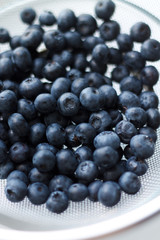 blueberries close-up. baby berries macro