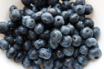 blueberries close-up. baby berries macro