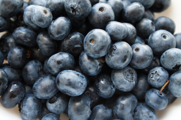 blueberries close-up. baby berries macro