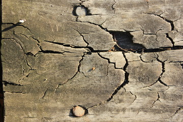 Wood surface closeup with cracks