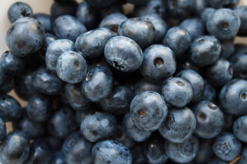 blueberries close-up. baby berries macro