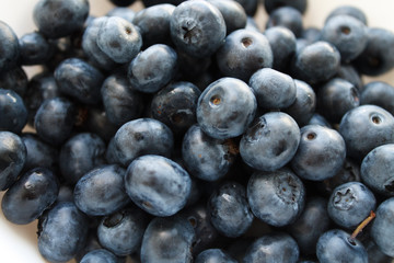 blueberries close-up. baby berries macro