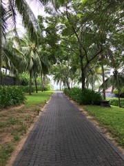 alley in the park