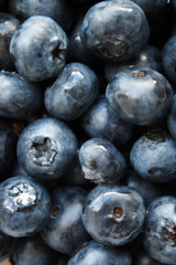 blueberries close-up. baby berries macro