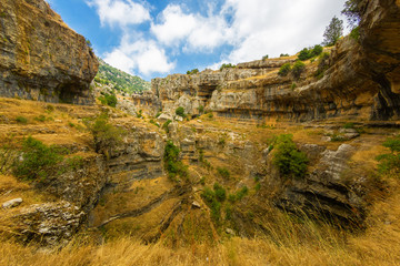 Fototapeta na wymiar Baatara gorge waterfall in Lebanon. Unusual rocky landscape. Balaa Sinkhole caves and formations covered with green plants and dry grass.
