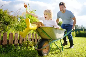 Foto op Canvas Happy little boy having fun in a wheelbarrow pushing by dad in domestic garden on warm sunny day. Active outdoors games for kids in summer. © Maria Sbytova
