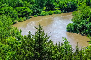 Fototapeta premium river in the woods