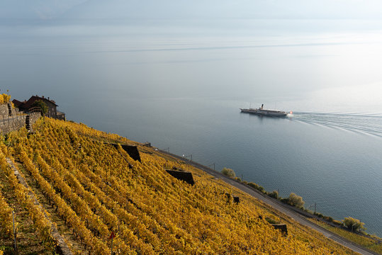Lavaux