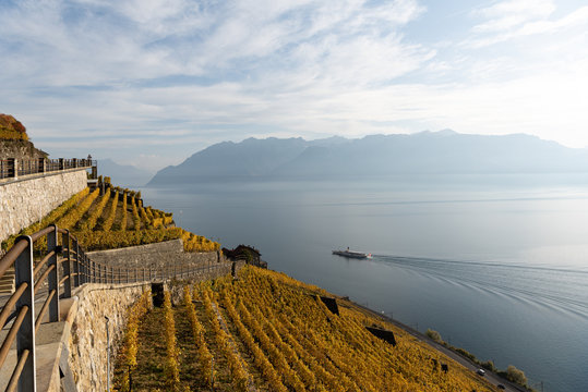 Lavaux