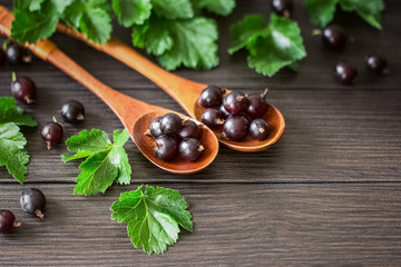 fresh gooseberries close-up. background with gooseberries in wooden spoons.