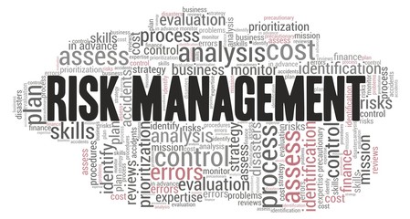 Risk management word cloud isolated on a white background.