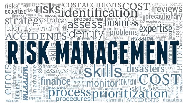 Risk management word cloud isolated on a white background.